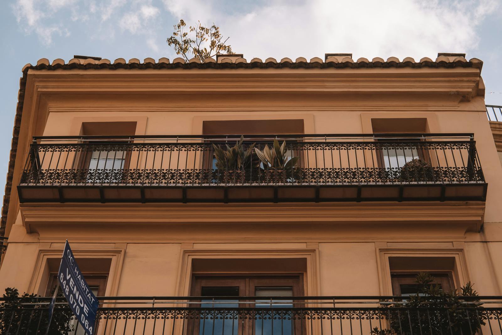 Alicante centro